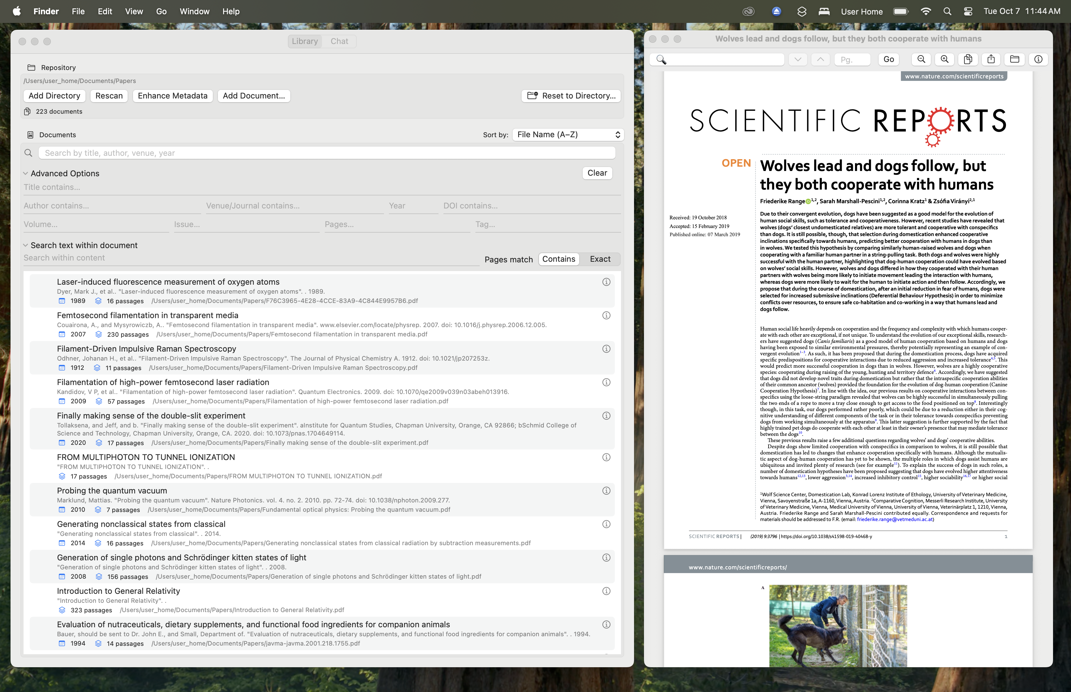 Library view of Quirely